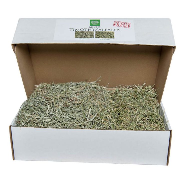 Timothy-and-alfalfa-mix-box