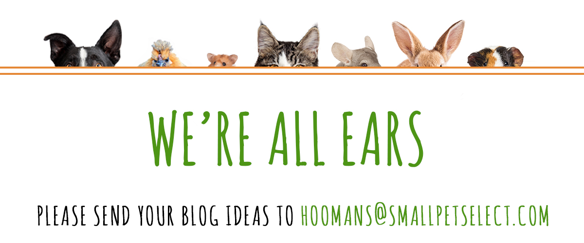 We're all ears graphic