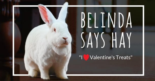 Belinda Says Hay Blog_I Heart Valentine's Treats