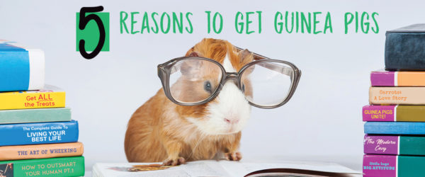 5-reasons-to-get-gps-blog_1200x500