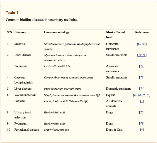 Biofilm Lurking in Your Pets' Water & Food Bowls Small Pet Select