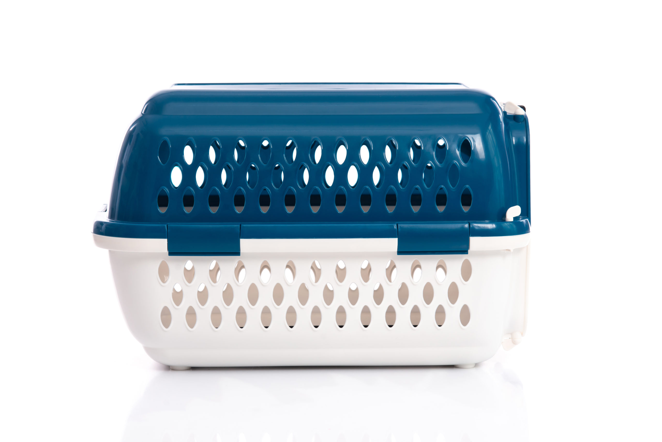 Hard sided pet carrier