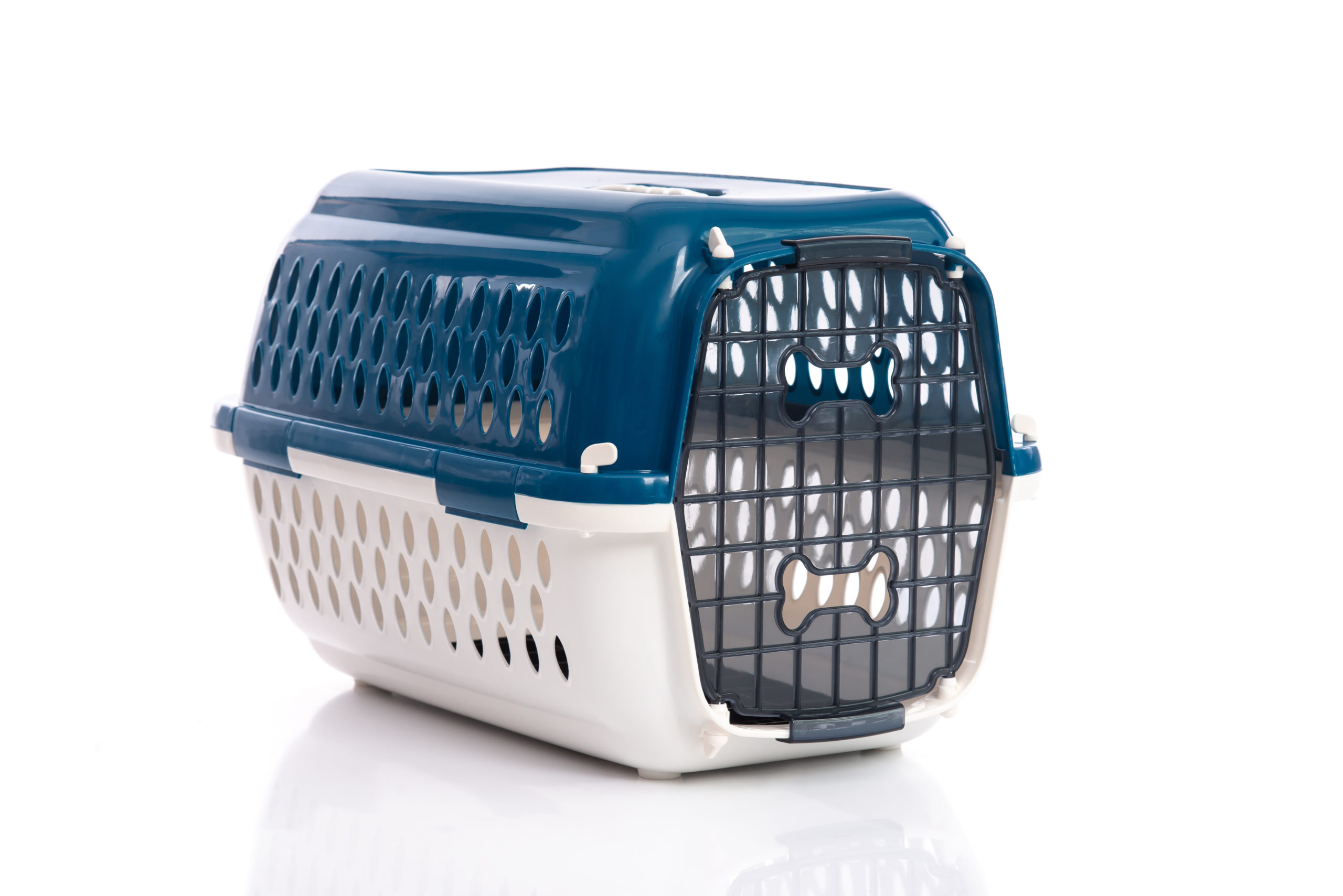 Hard sided pet carrier