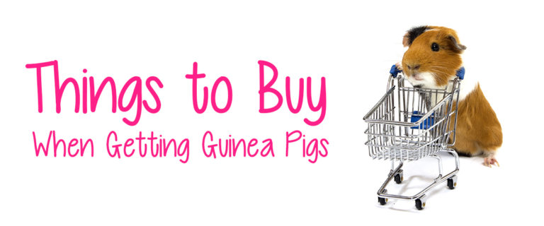 things-to-buy-gps-blog_1200x500