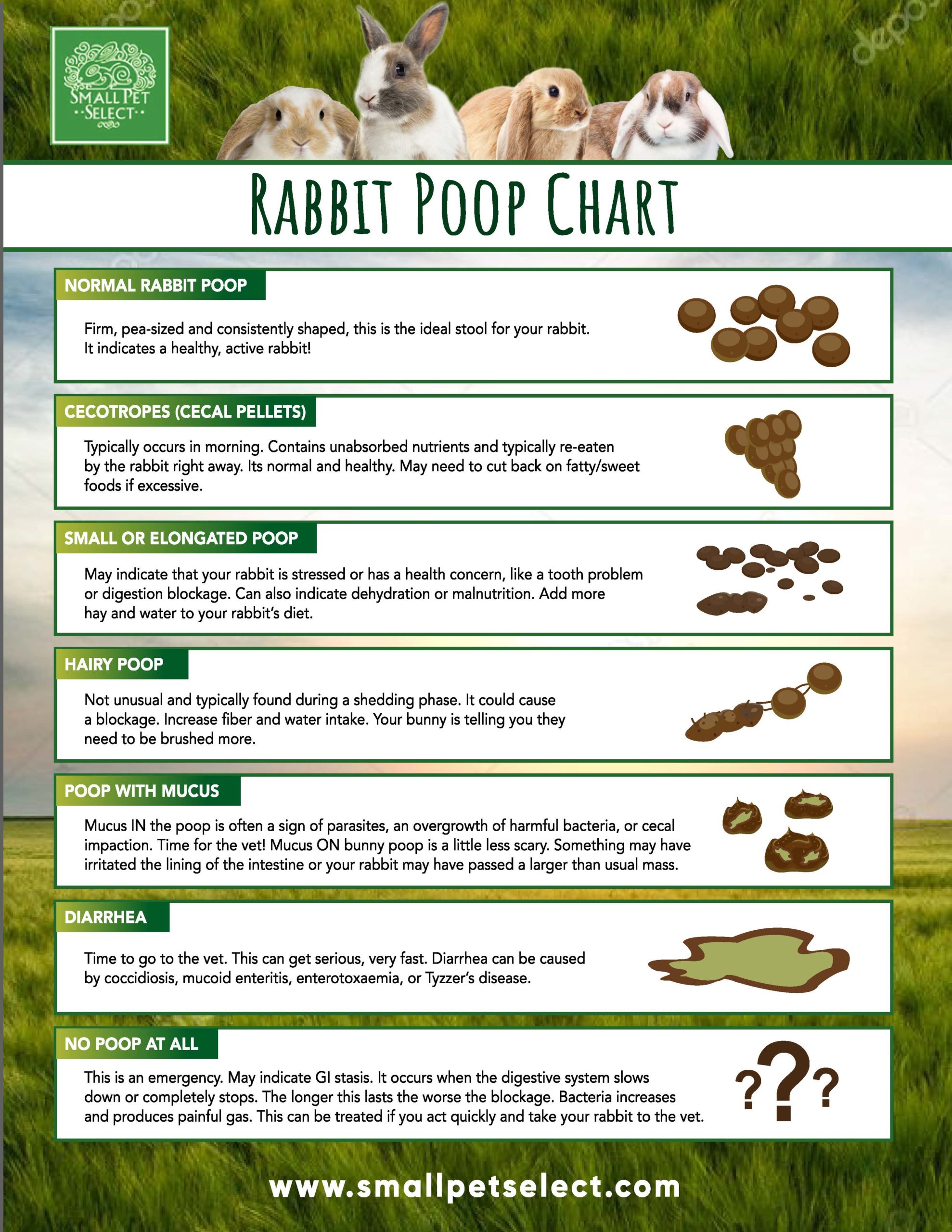 Rabbit Poop Chart