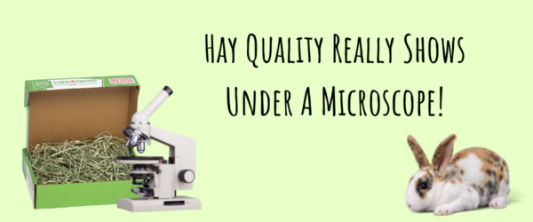 Hay Quality Really Shows Under A Microscope! (1)