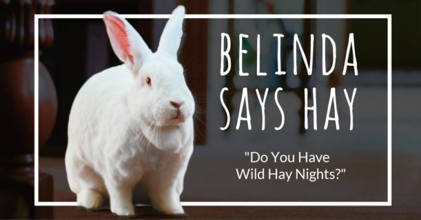 Belinda Says Hay Blog Header July 25 2021: "Do You Have Wild Hay Nights?"
