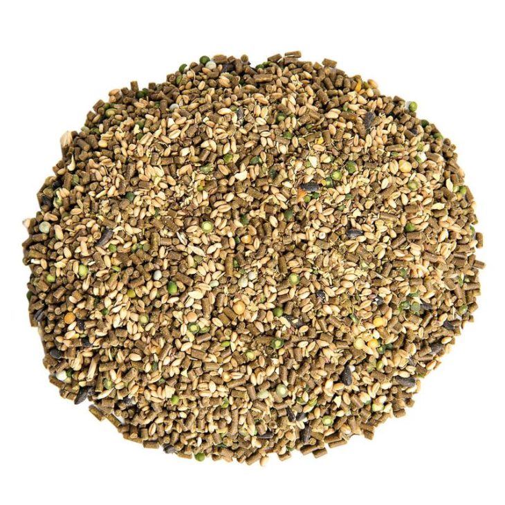 Pros and Cons of Fermenting Chicken Feed Small Pet Select