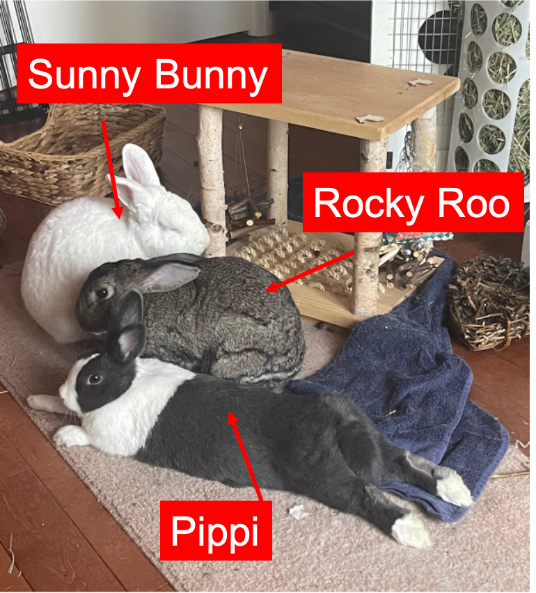 Sunny Bunny, Rocky Roo, and Pippi
