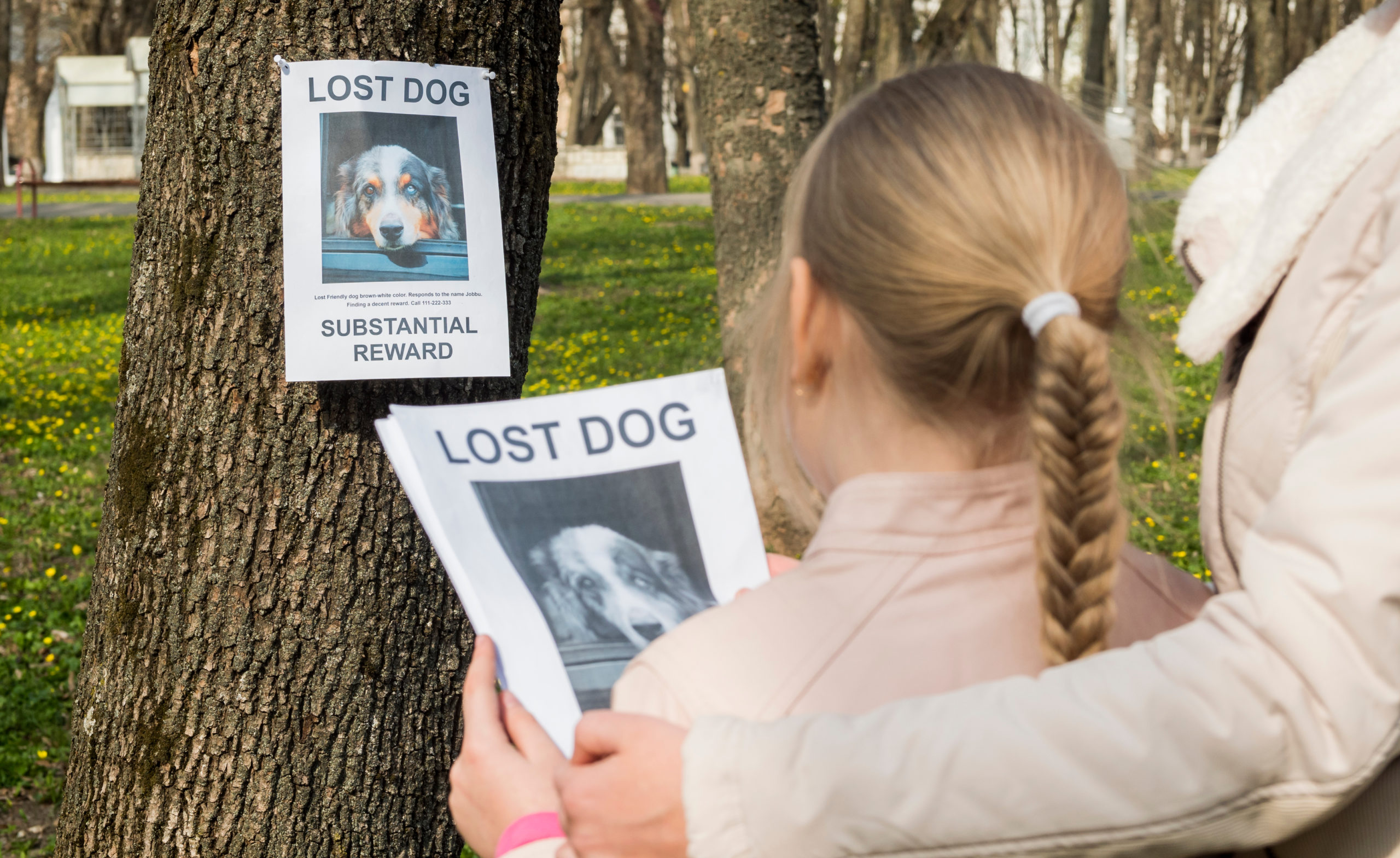 Lost pet sign