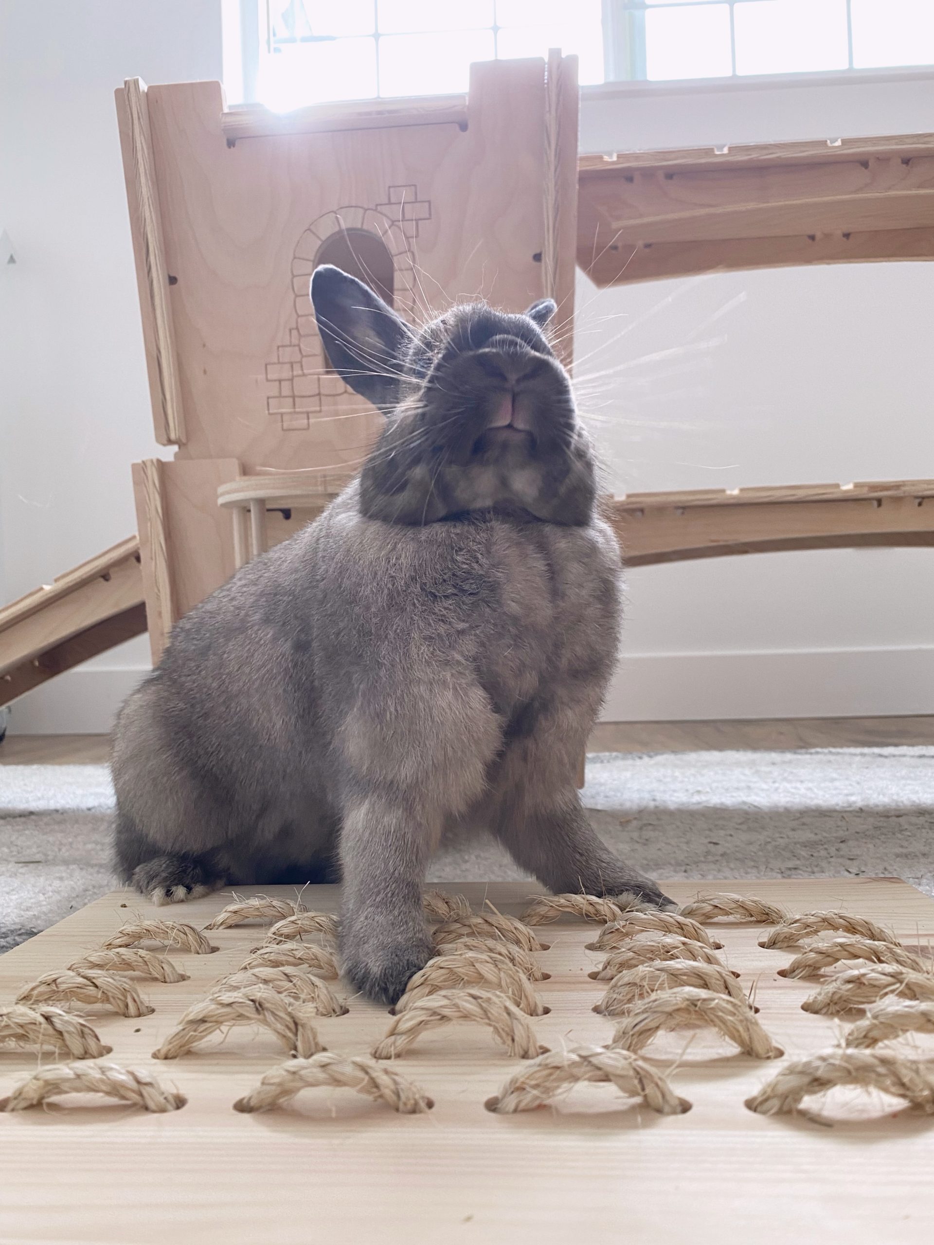 Rabbit Mega Fort Castle Wooden House Shelter Hideout Hideaway 