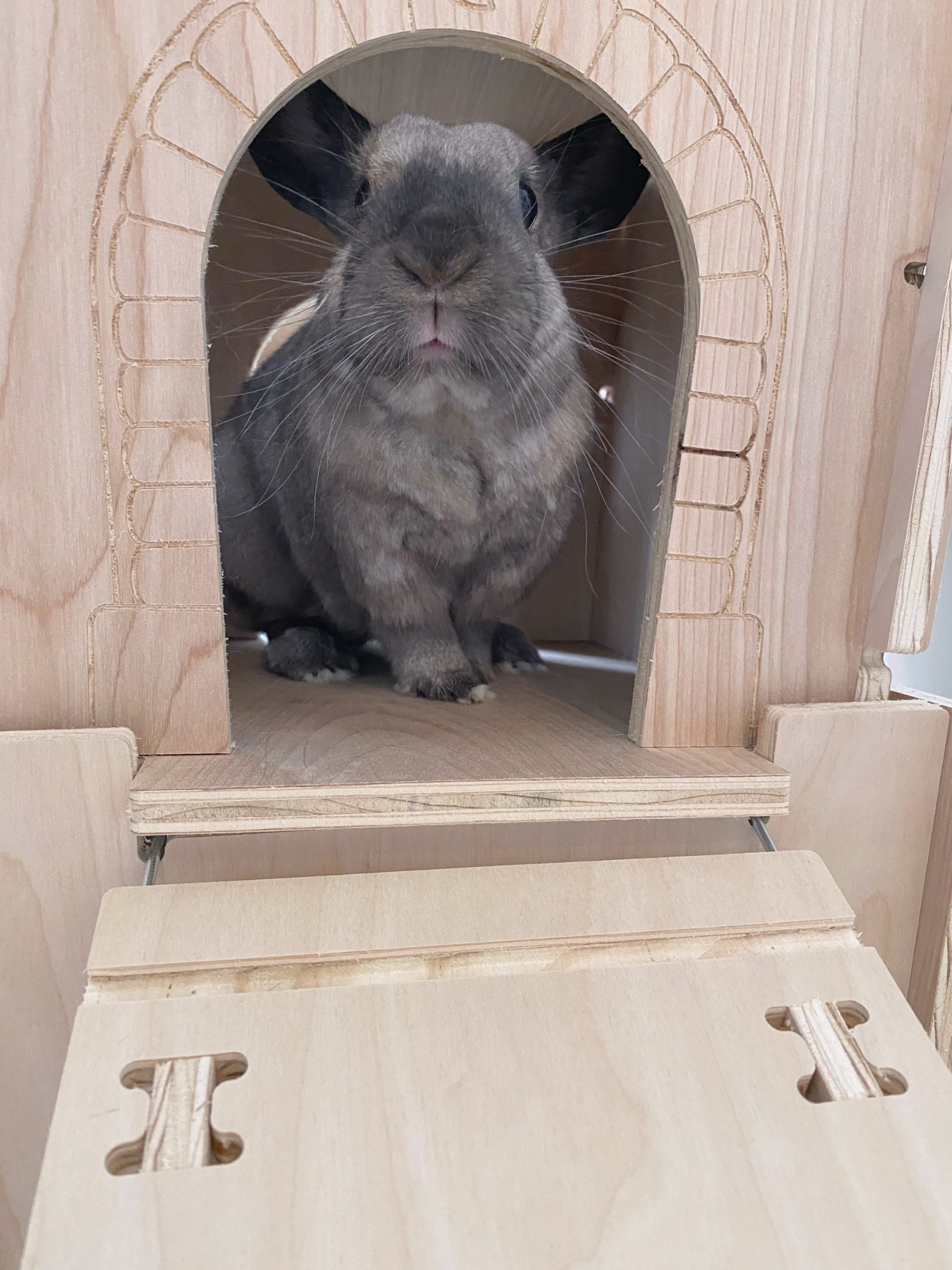 Rabbit Mega Fort Castle Wooden House Shelter Hideout Hideaway 