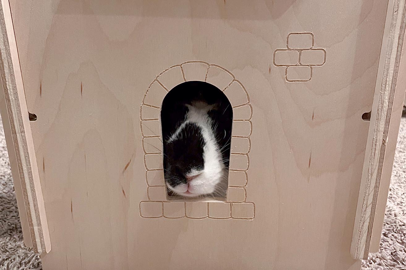 Oreo peeks out from inside his Small Pet Select castle
