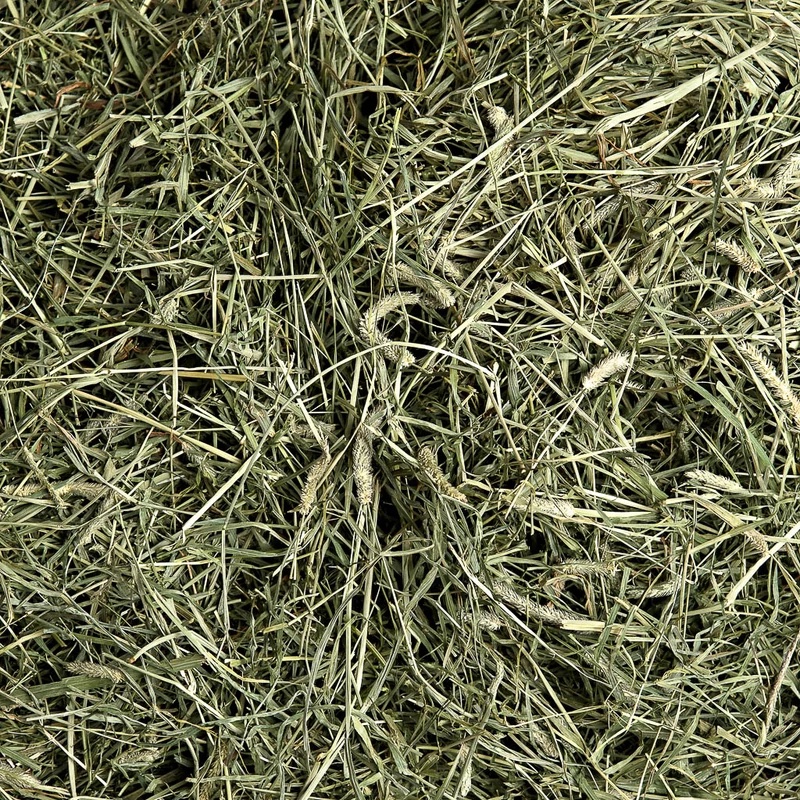 2nd cut timothy hay