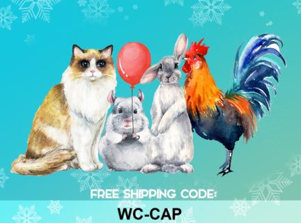 01152022: WC-CAP