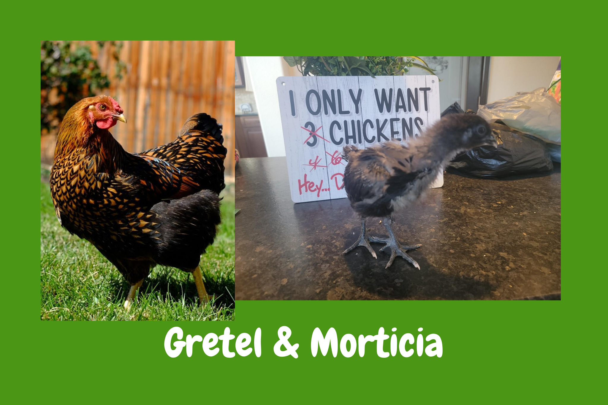 Gretel and Morticia