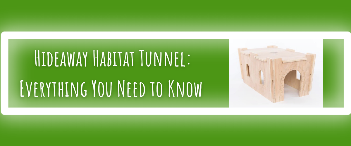 Hideaway Habitat Tunnel Everything You Need to Know Small Pet Select