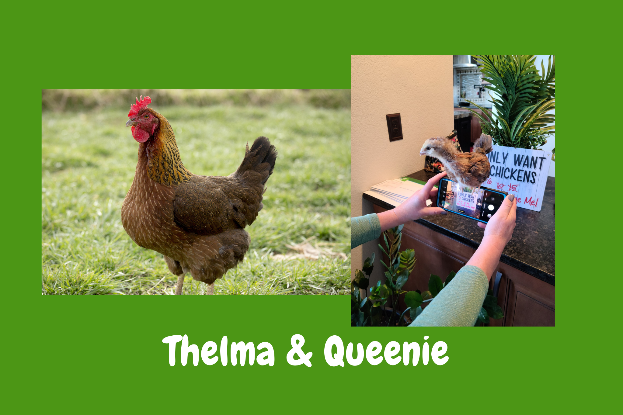 Thelma and Queenie