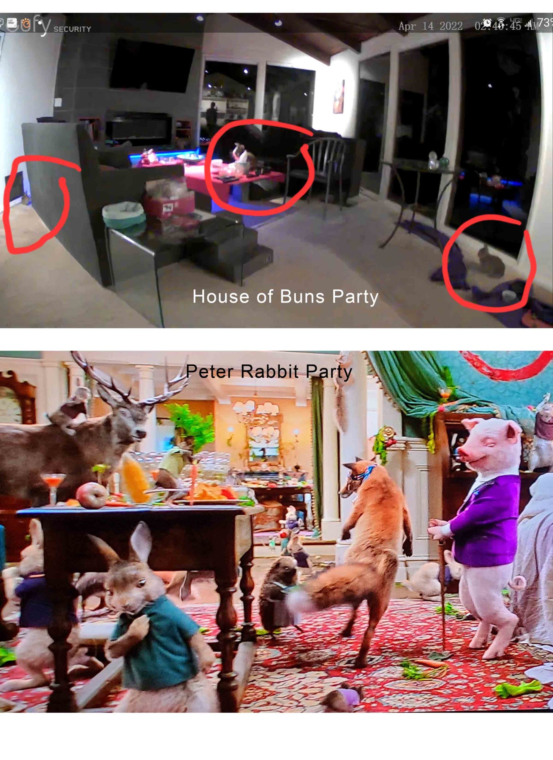 The party at the House of Buns reminds Dad of the party scene in the movie Peter Rabbit