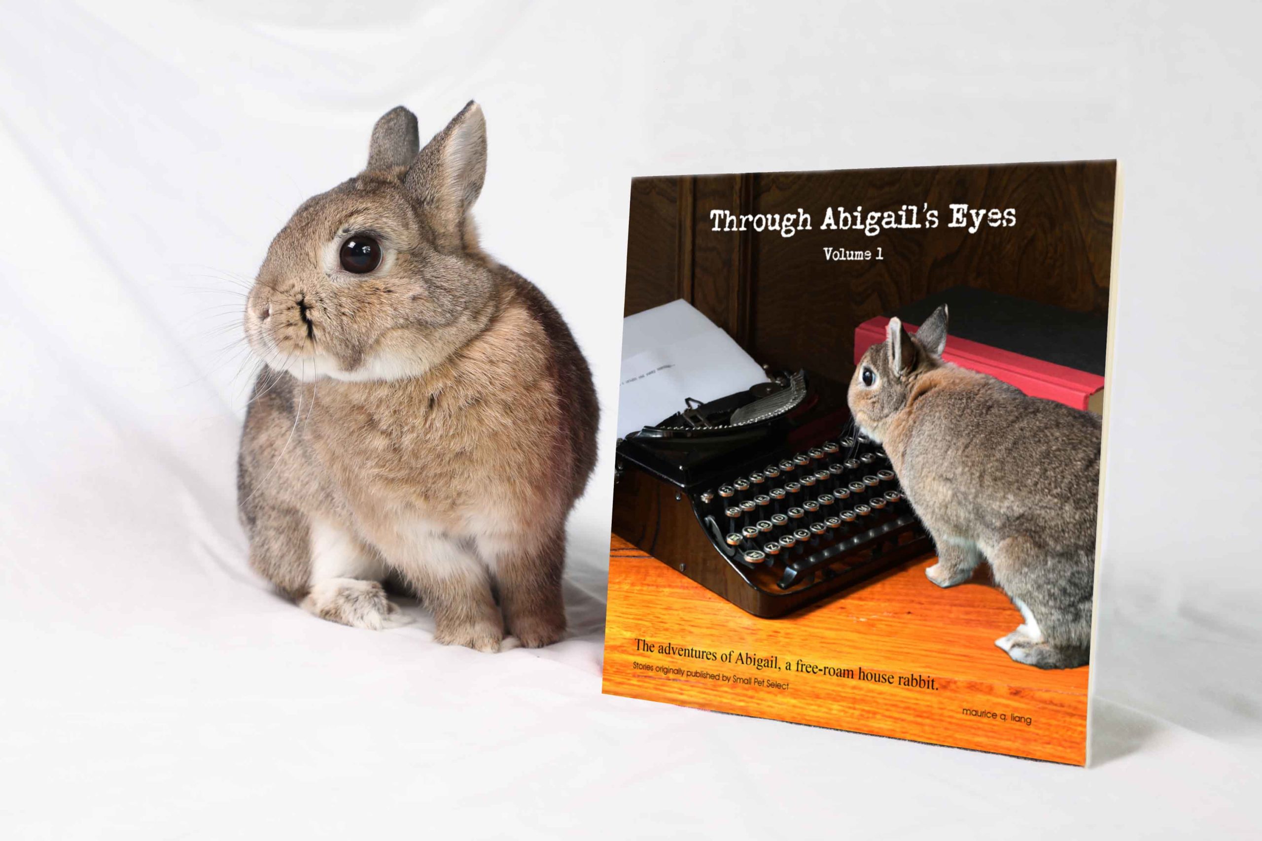 Abigail publishes her first book!