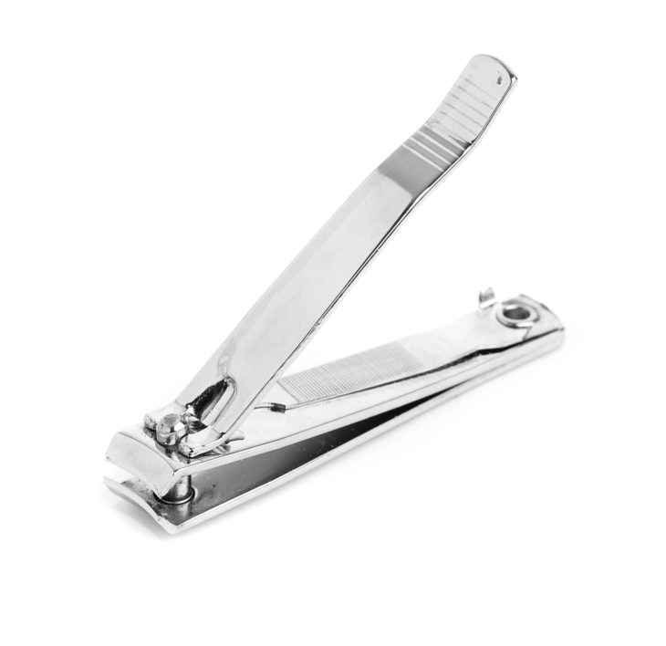 Pawdicure time! Trimming rat's nails. Small Pet Select