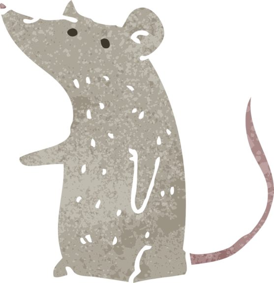 Bedding for mice what's best for them? Small Pet Select