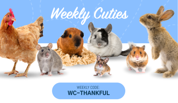 Weekly Cuties: WC-THANKFUL