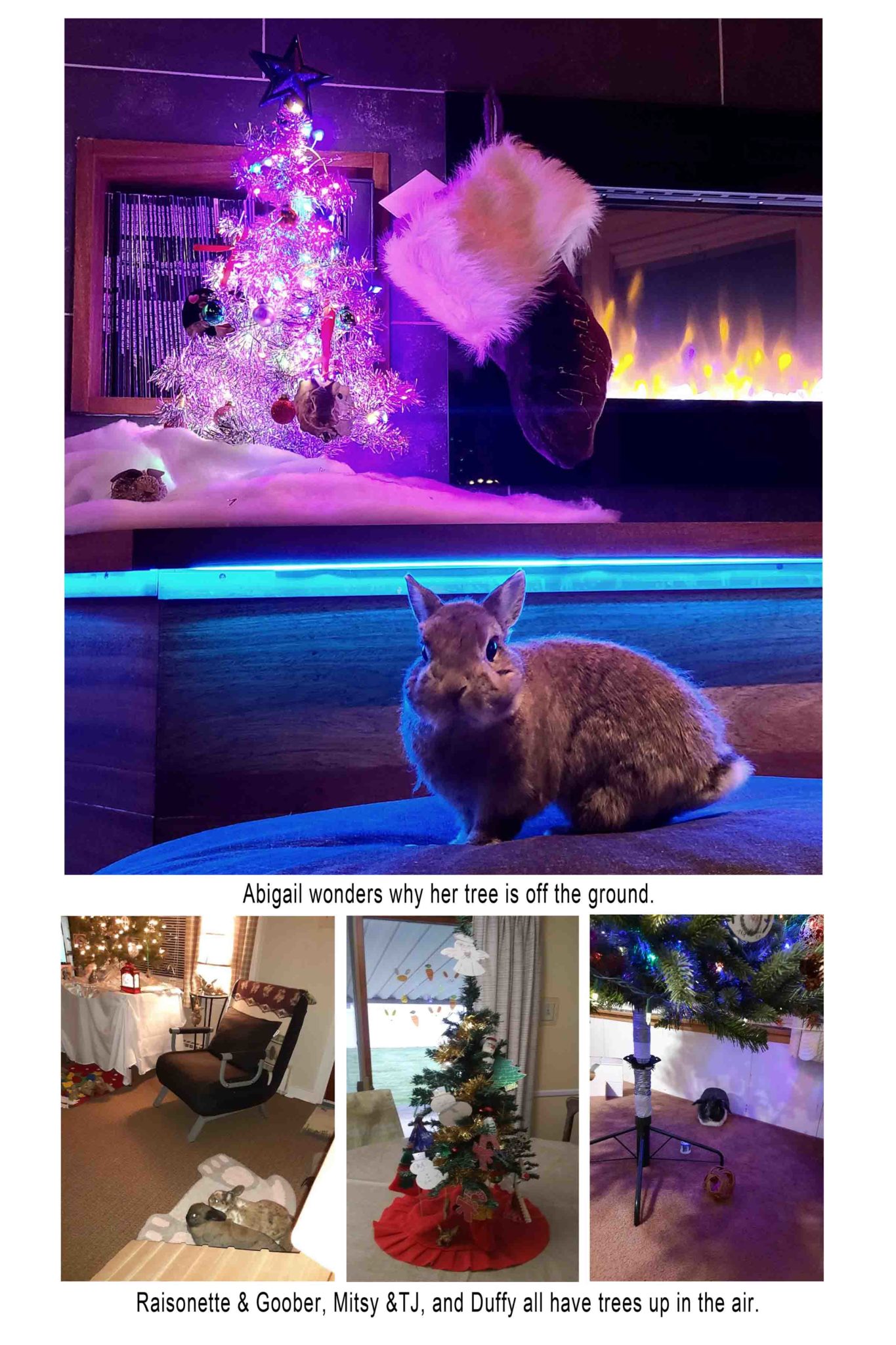 Through Abigail's Eyes - Rabbit Christmas Tree | Small Pet Select