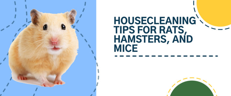 Housecleaning tips for small pets