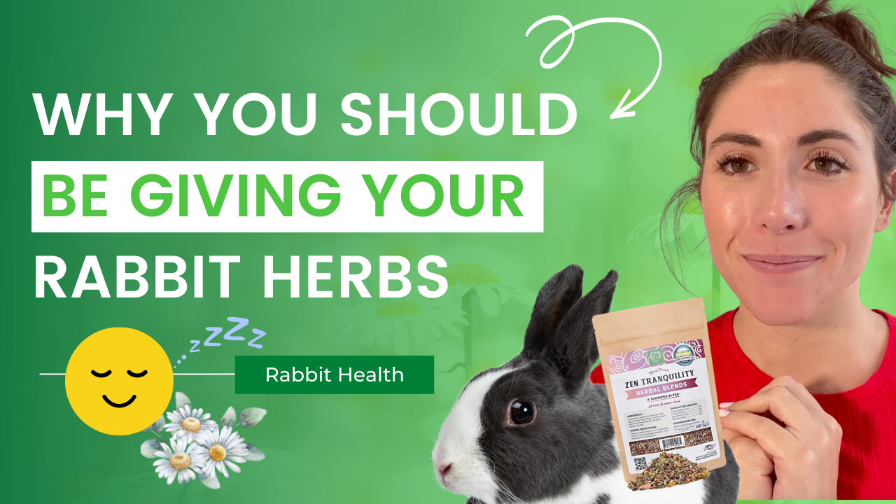 Can Rabbits Eat Herbs?