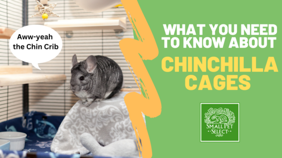 chinchilla cages
