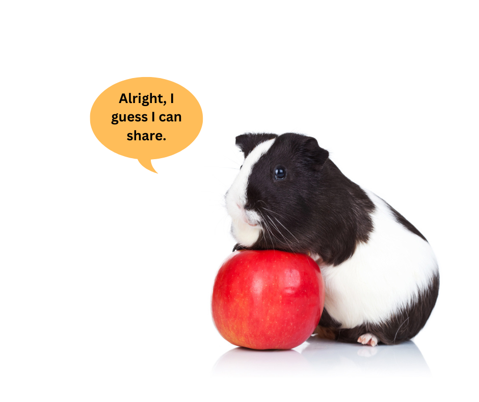 guinea pig fresh food