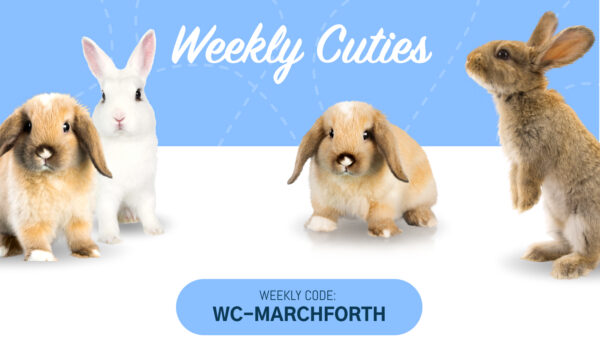 WC-Weekly code: WC-MARCHFORTH