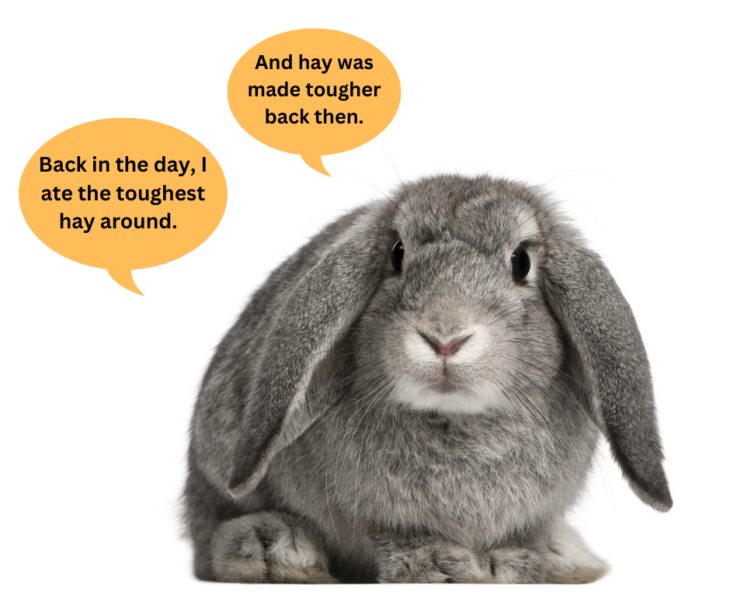 2nd vs 3rd Cutting Timothy Hay For Rabbits What’s The Deal? Small Pet Select Blogs Small