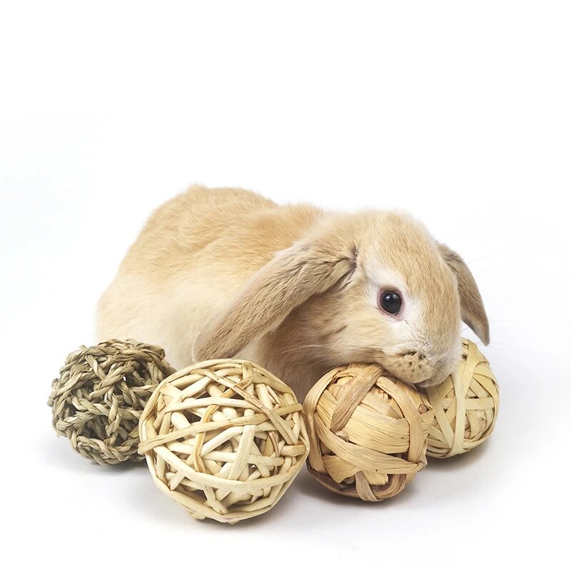 The Complete List of Engaging Rabbit Toys