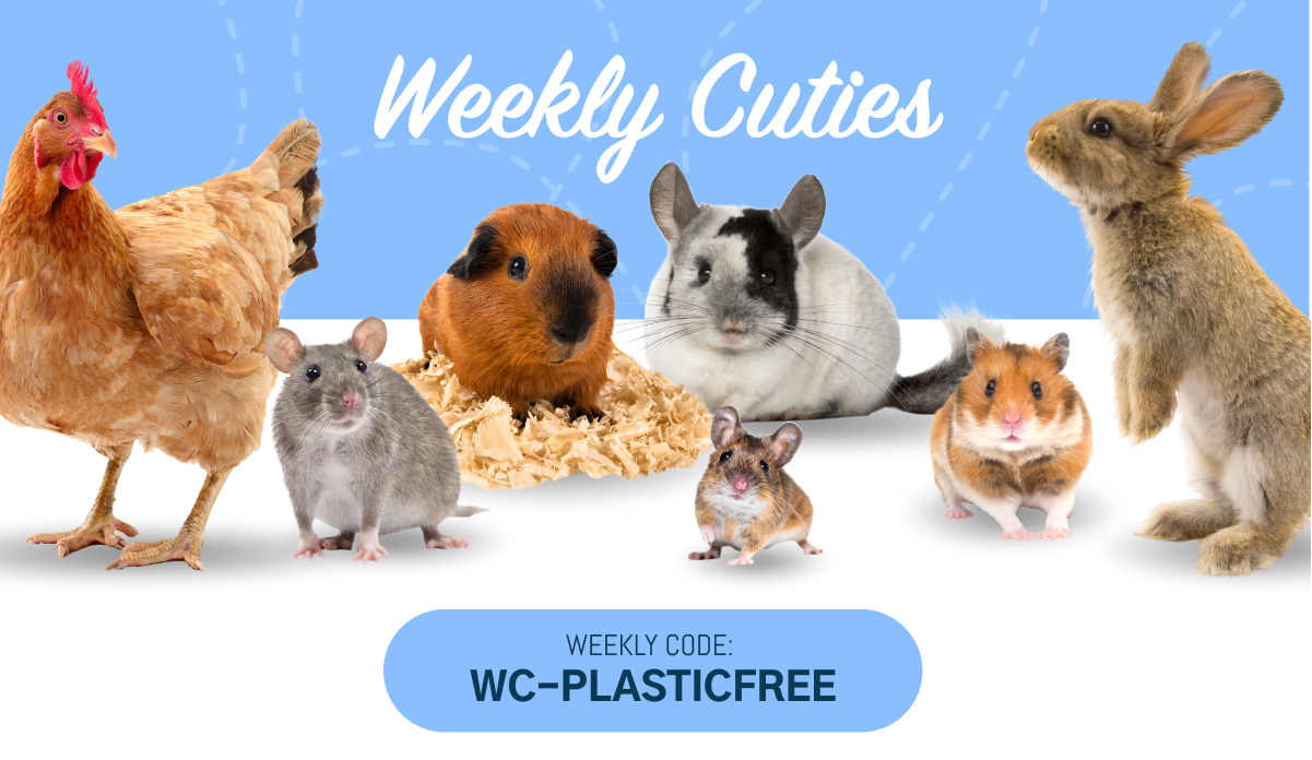 April 1, 2023 Weekly Cuties Small Pet Select