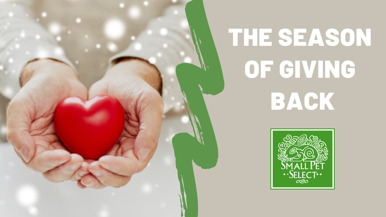 The Season of Giving Small Pet Select’s Bond With Rescues & Non
