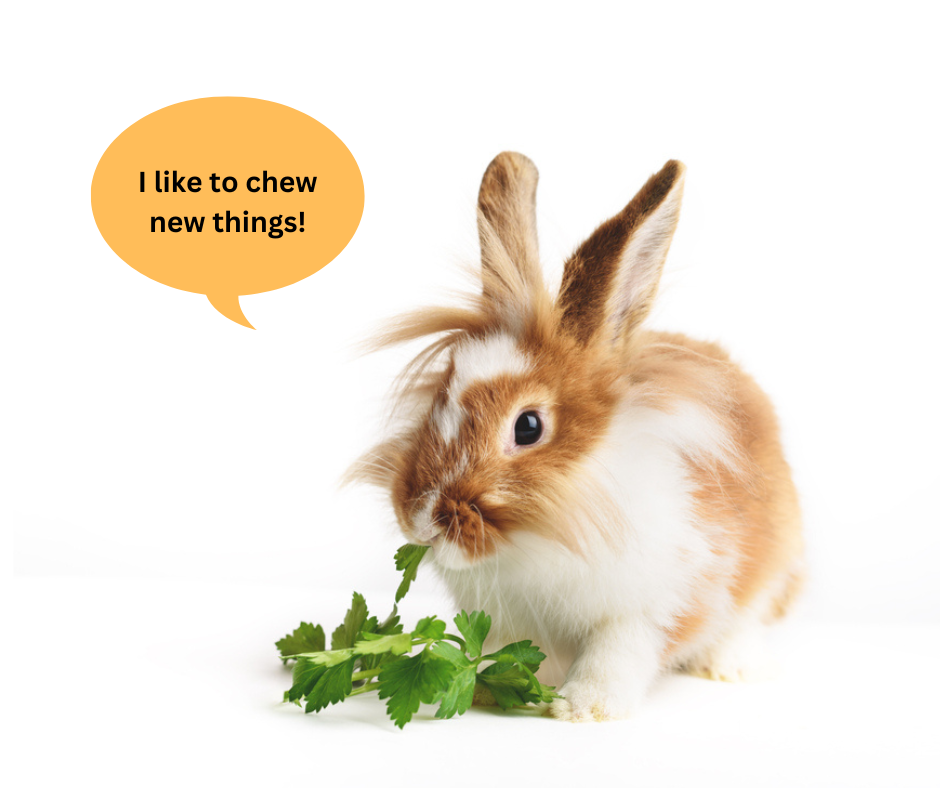greens for rabbits