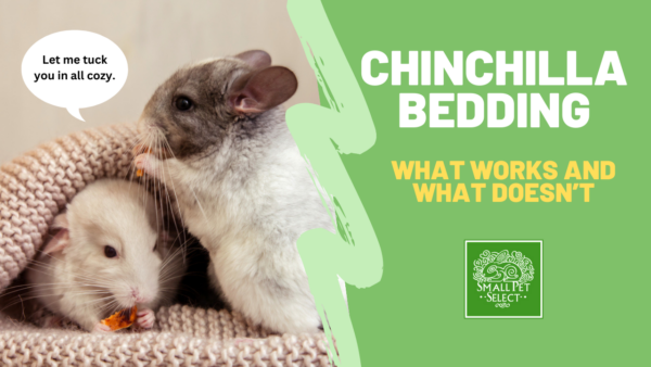 chinchilla bedding