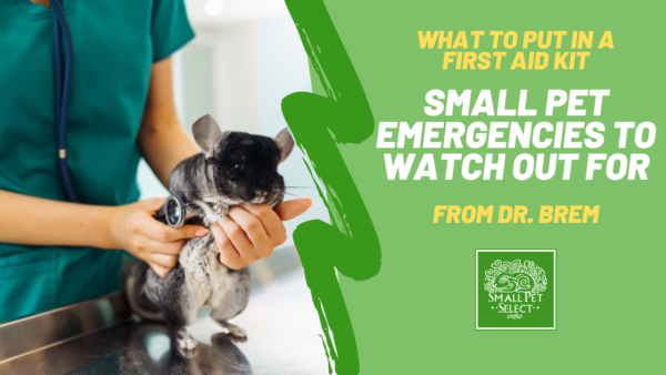 small pet emergencies