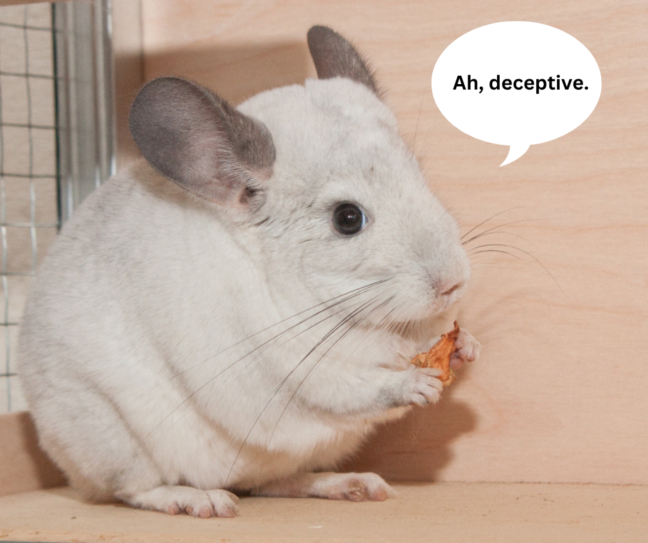 can chinchillas eat strawberries?