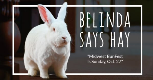 Belinda Says Hay spokesrabbit blog, Sept 22, 2024. "Midwest BunFest Is Sunday Oct 27"