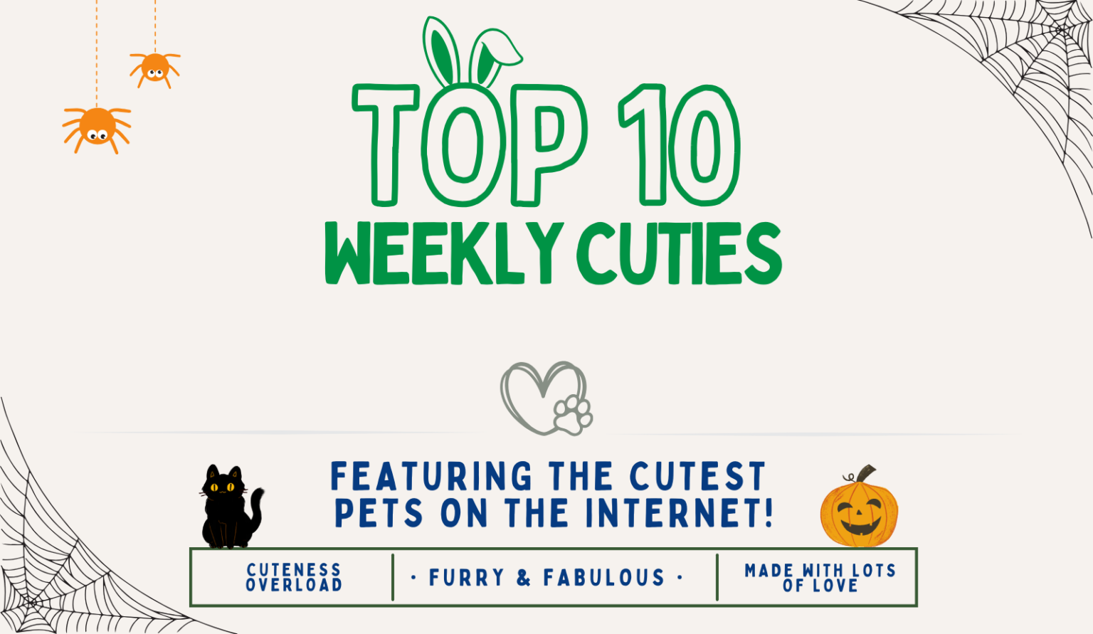 October 19th 2024 Weekly Cuties Small Pet Select