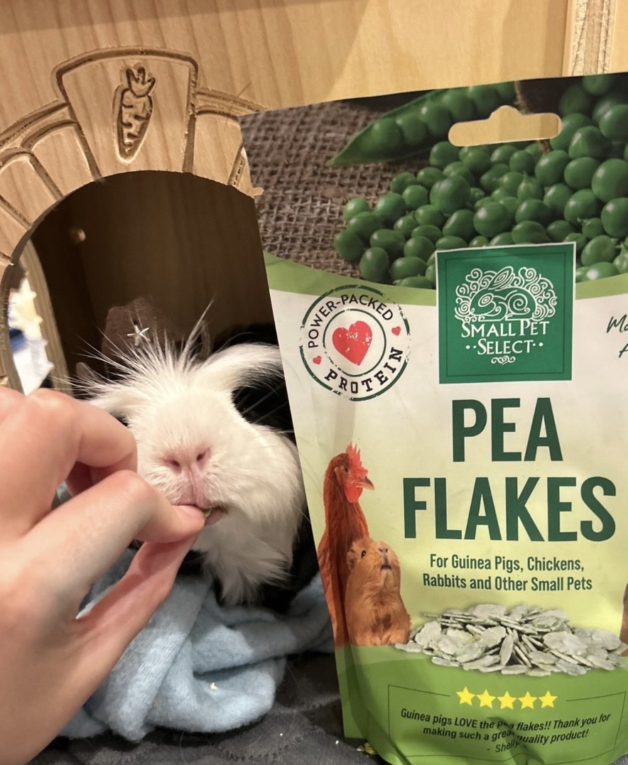 P flakes for guinea pigs hotsell