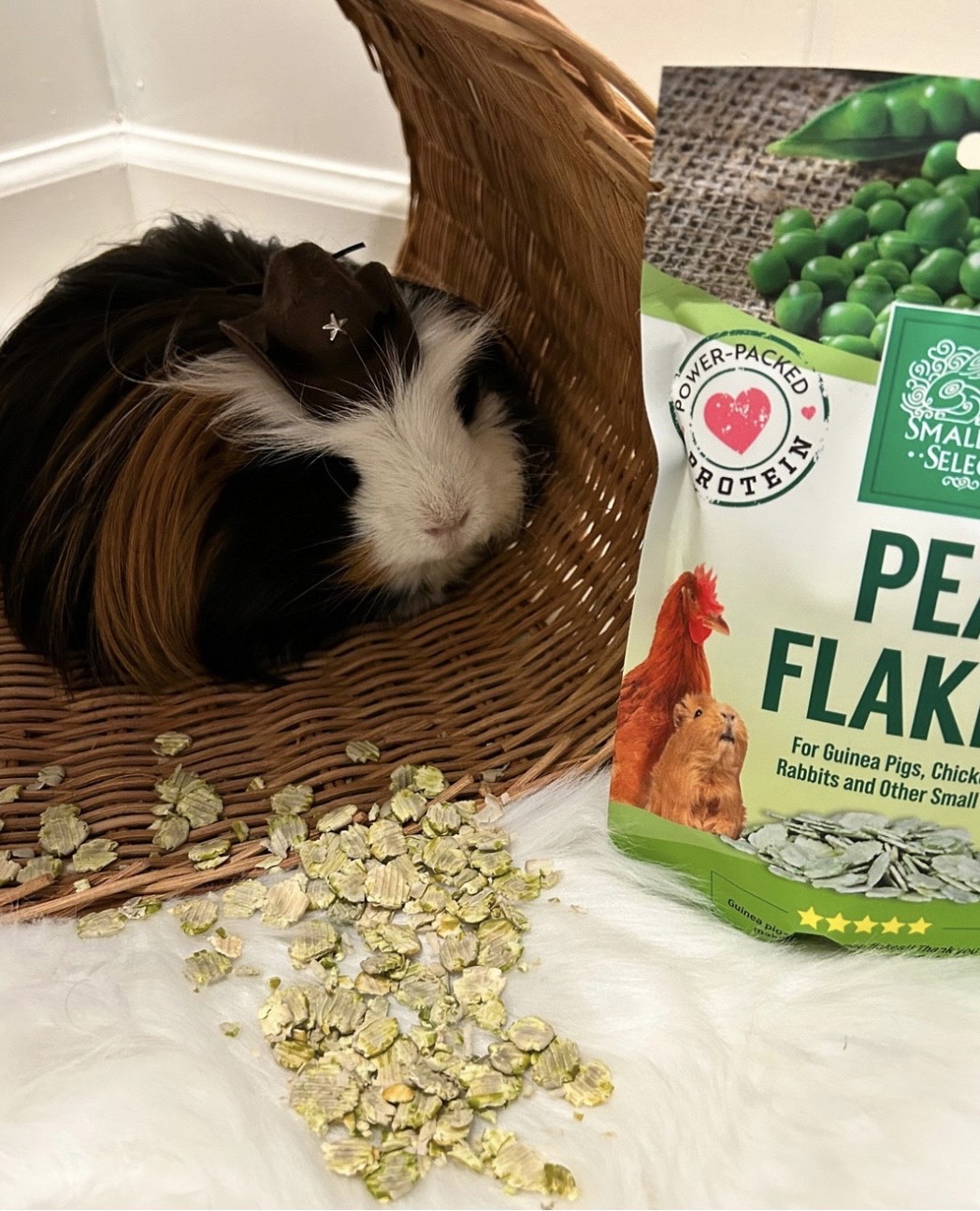 Gizmo Pea Flakes Tiny Paws Willow Tunnel Gizmo Pea Flakes/Tiny Paws Willow Tunnel