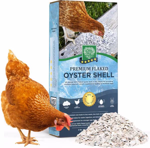 https://shop.smallpetselect.com/search?options%5Bprefix%5D=last&q=oyster