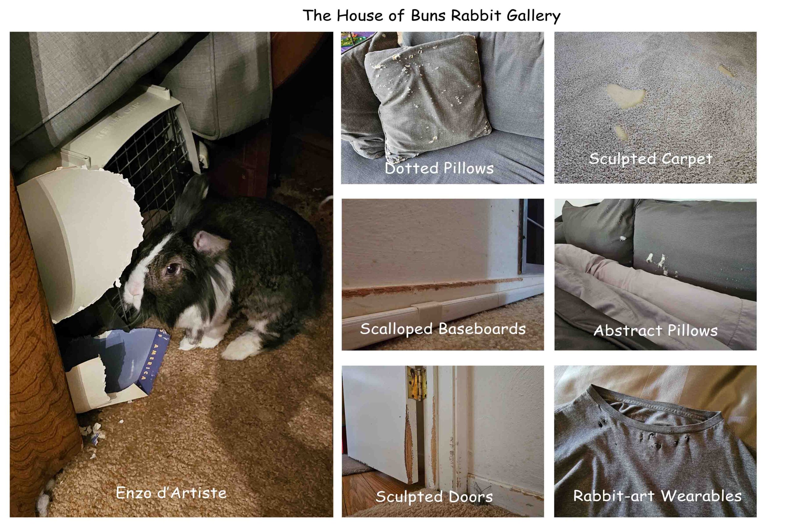 65-Rabbit Gallery-LR