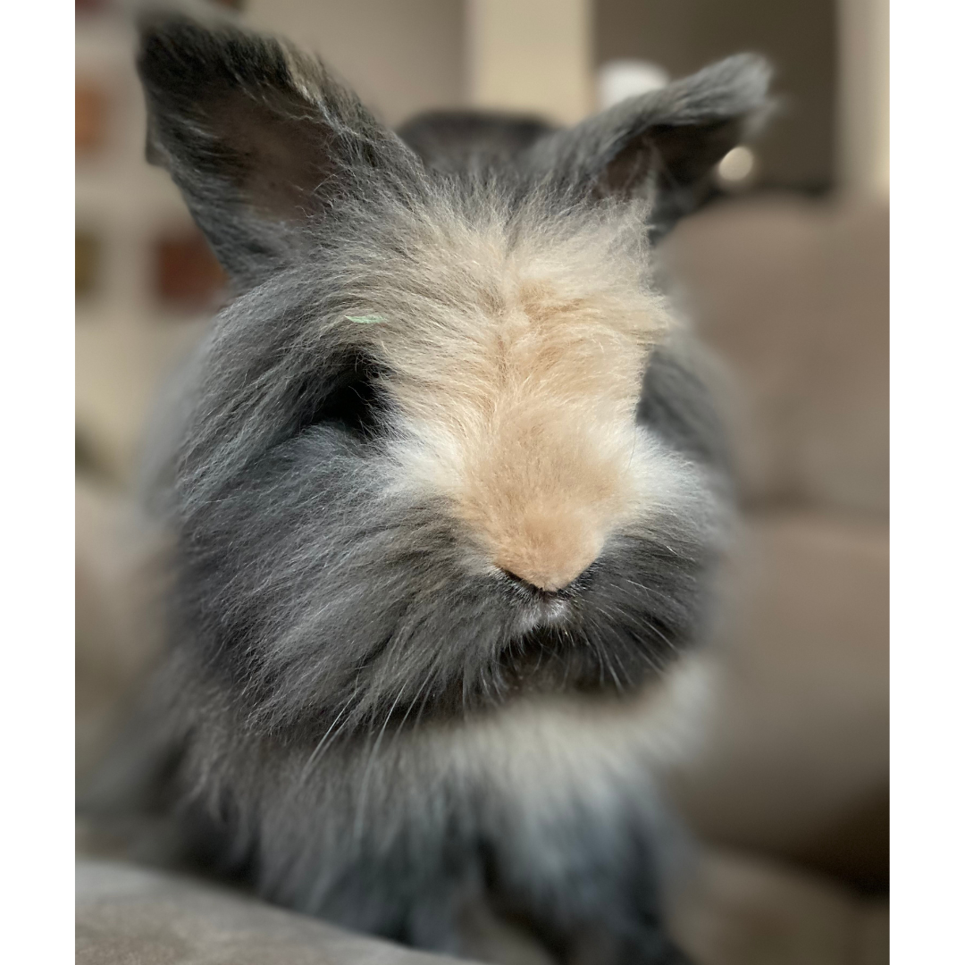 #1 Snickers @Wendyburke382