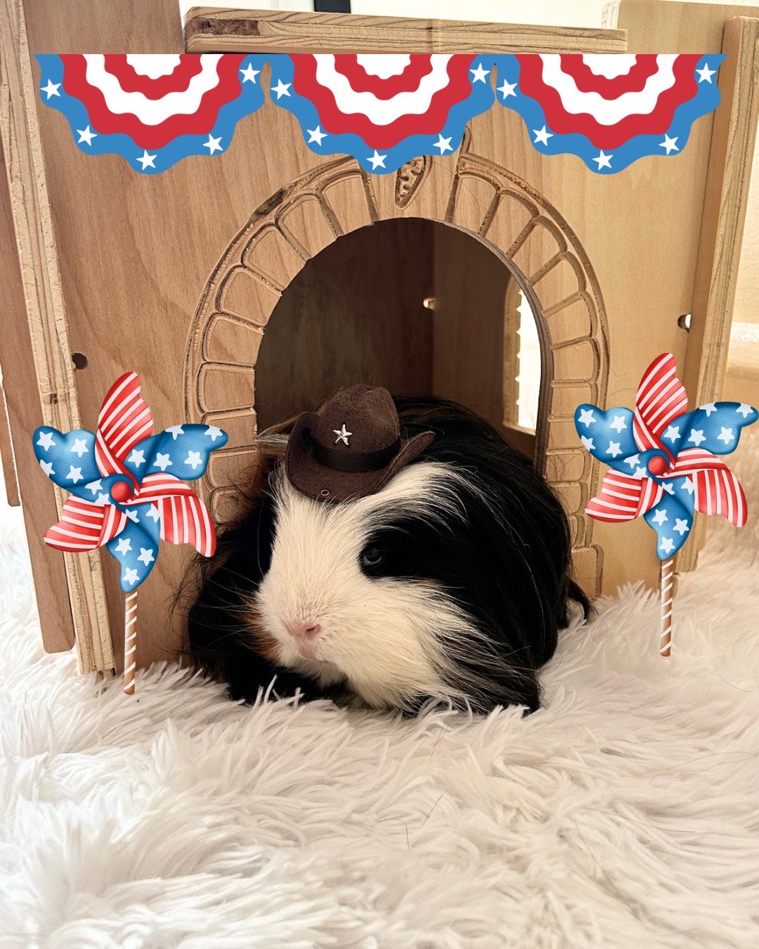July 4th Gizmo 2 (1)