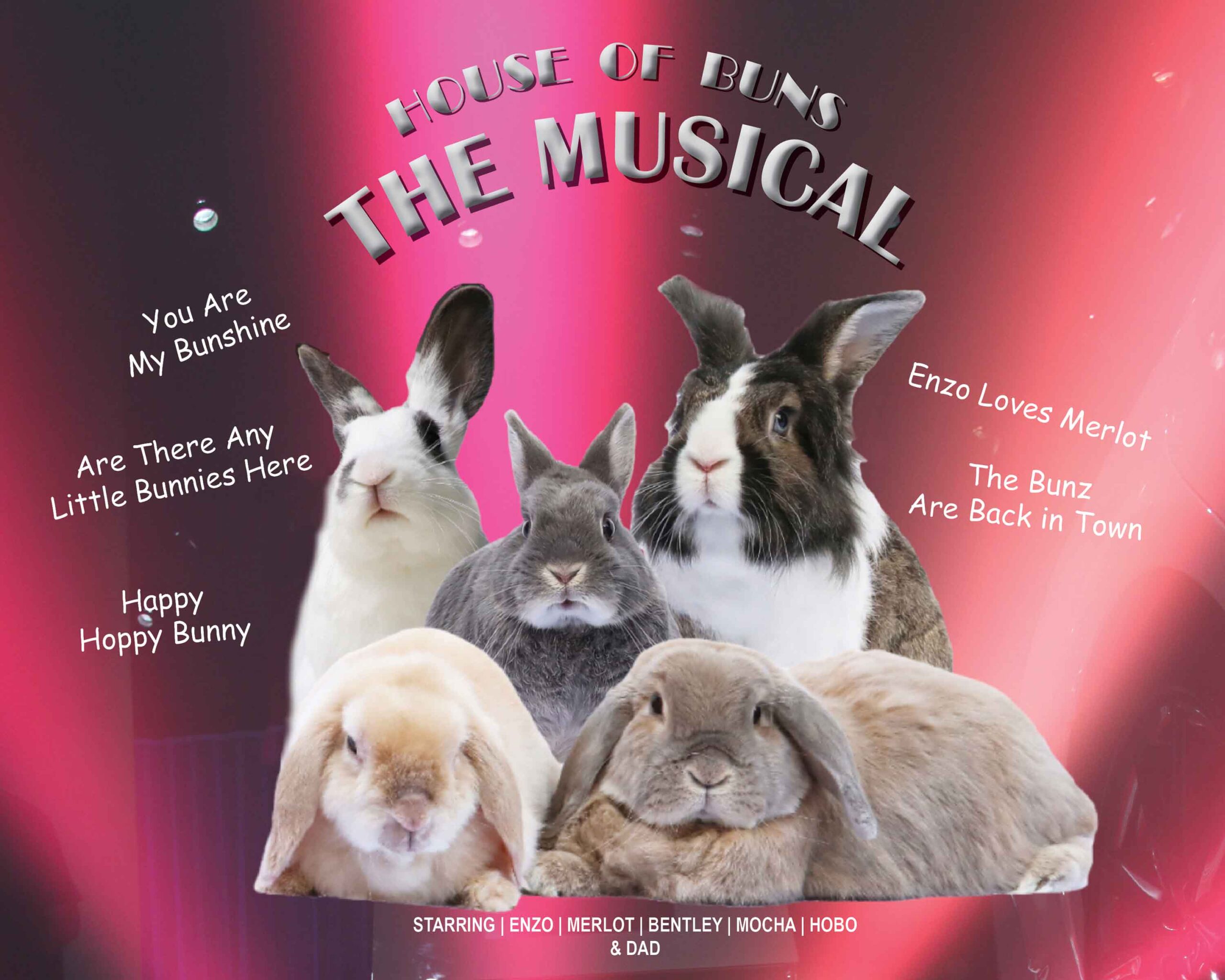 74-HoB Musical Poster-LR